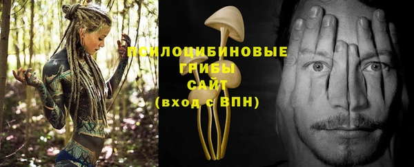 apvp Тутаев