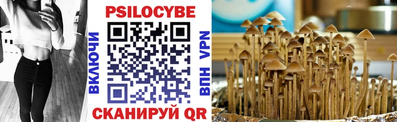 Псилоцибиновые грибы мицелий  Иркутск 