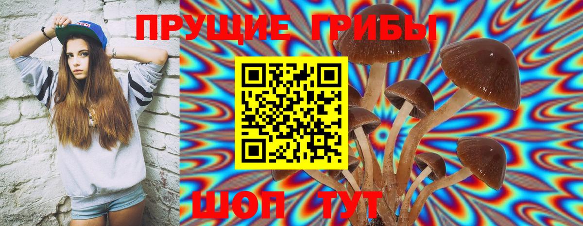 Галлюциногенные грибы прущие грибы  Вход с VPN  Иркутск 